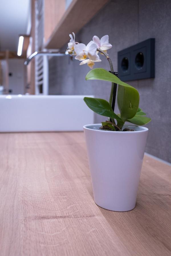 Apartment Haus Schoenwies Alpbach Esterno foto